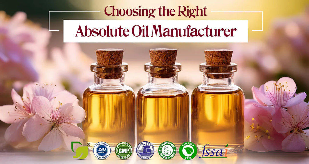 Reasons to Select the Right Absolute Oil Manufacturer for Uncompromising Quality and Beyond