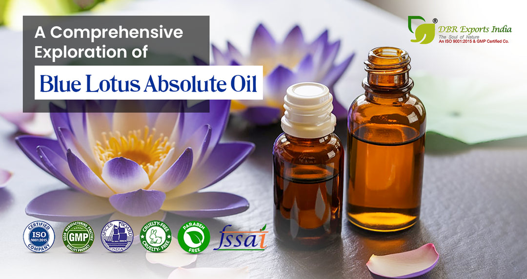 Blue Lotus Absolute Oil