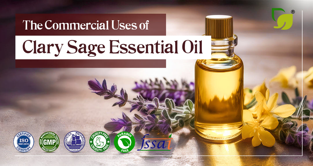 Everything You Need to Know About Clary Sage Essential Oil and Its Uses