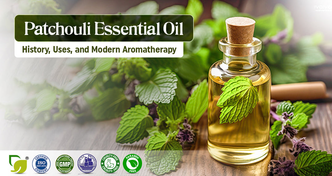 Patchouli Essential Oil: History, Uses, and Modern Aromatherapy