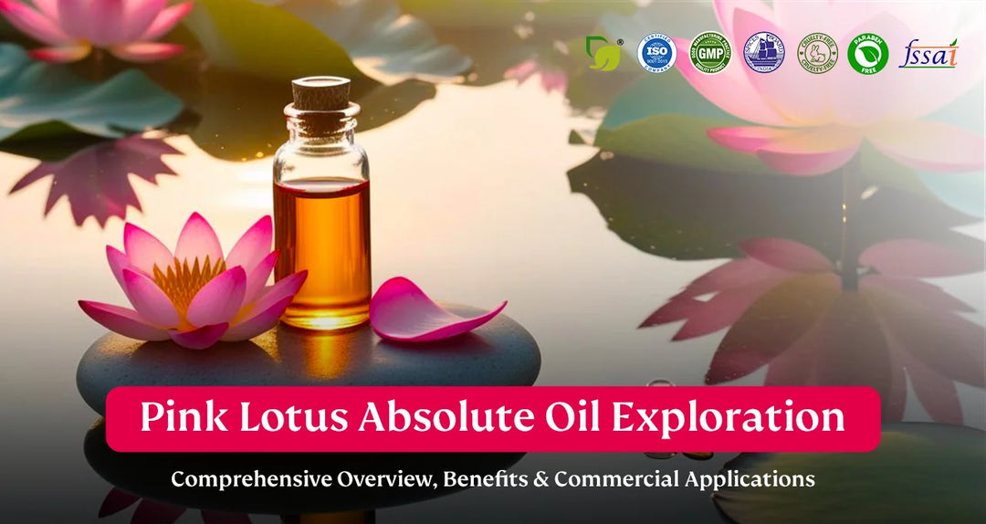 Pink Lotus Absolute Oil Exploration: Comprehensive Overview, Benefits, and Commercial Applications