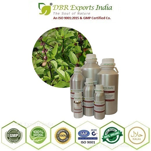 Holy Basil Oil DBR Exports India